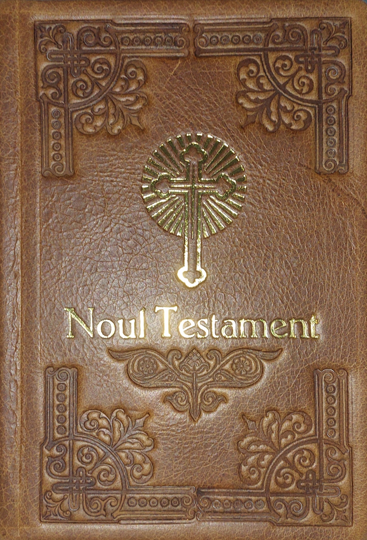 Noul Testament cu Psalmii format mijlociu (legat în piele)