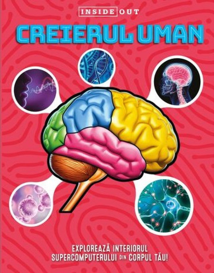 Inside out - Creierul uman