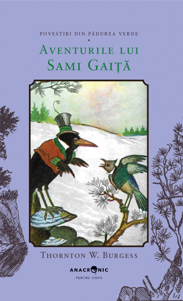 Povestiri din Pădurea Verde: 12. Aventurile lui Sami Gaiță