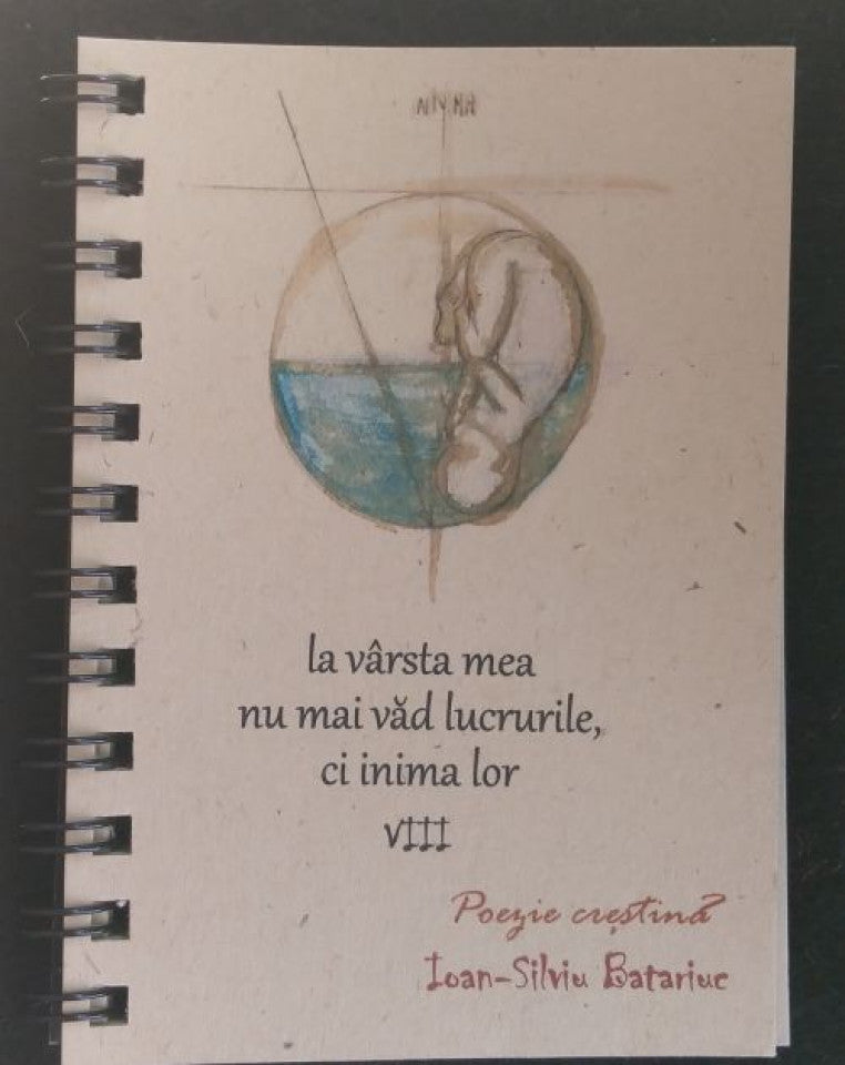 Cărţi pictate. Vol. VIII - La vârsta mea nu mai văd lucrurile, ci inima lor