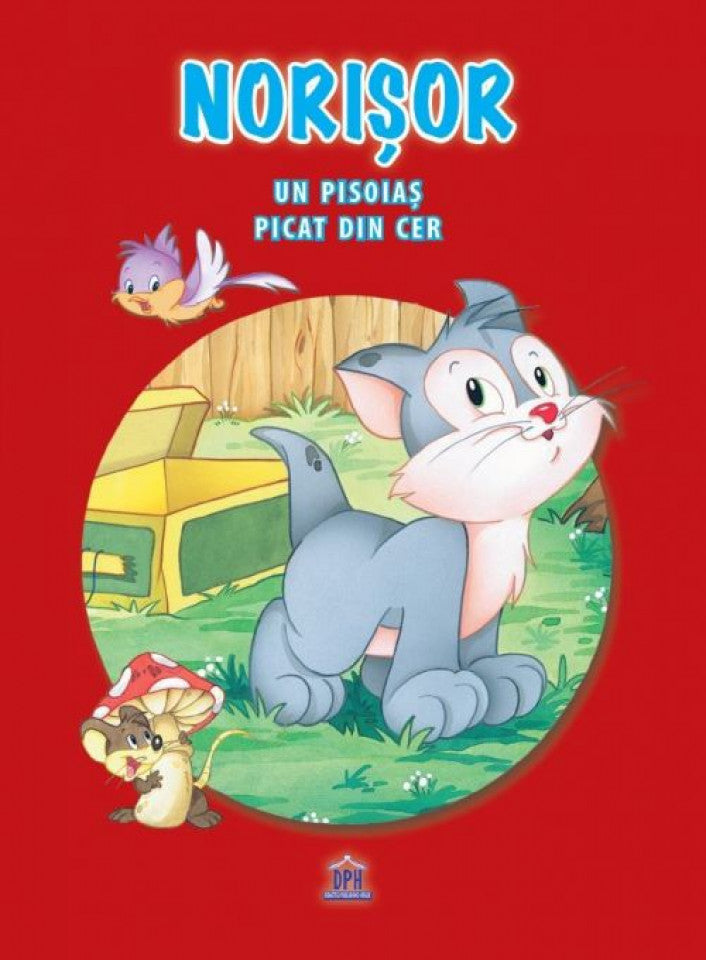 Norişor. Un pisoiaş picat din cer