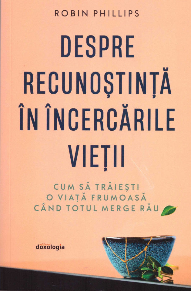 Despre recunoștință în încercările vieții - cum să trăiești o viață frumoasă când totul merge rău