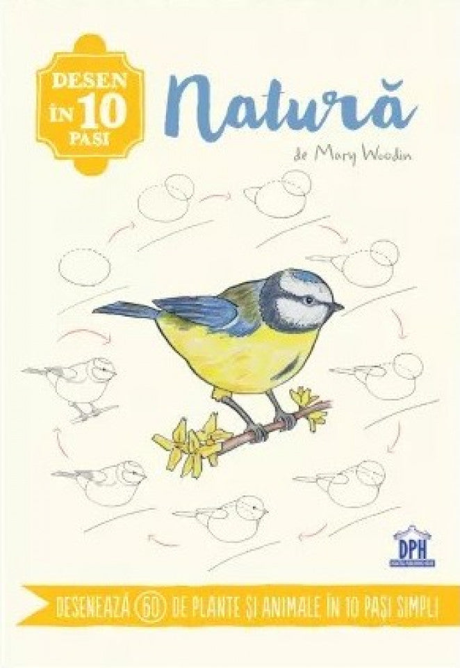 Desen în 10 pași. Natura