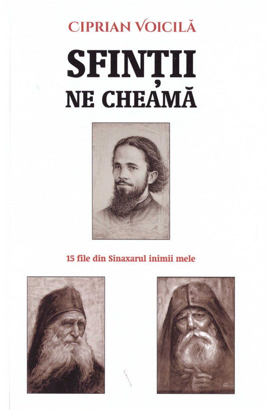 Sfinții ne cheamă. 15 file din Sinaxarul inimii mele