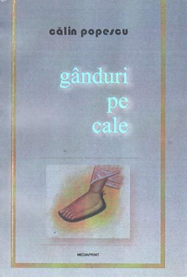 Gânduri pe cale