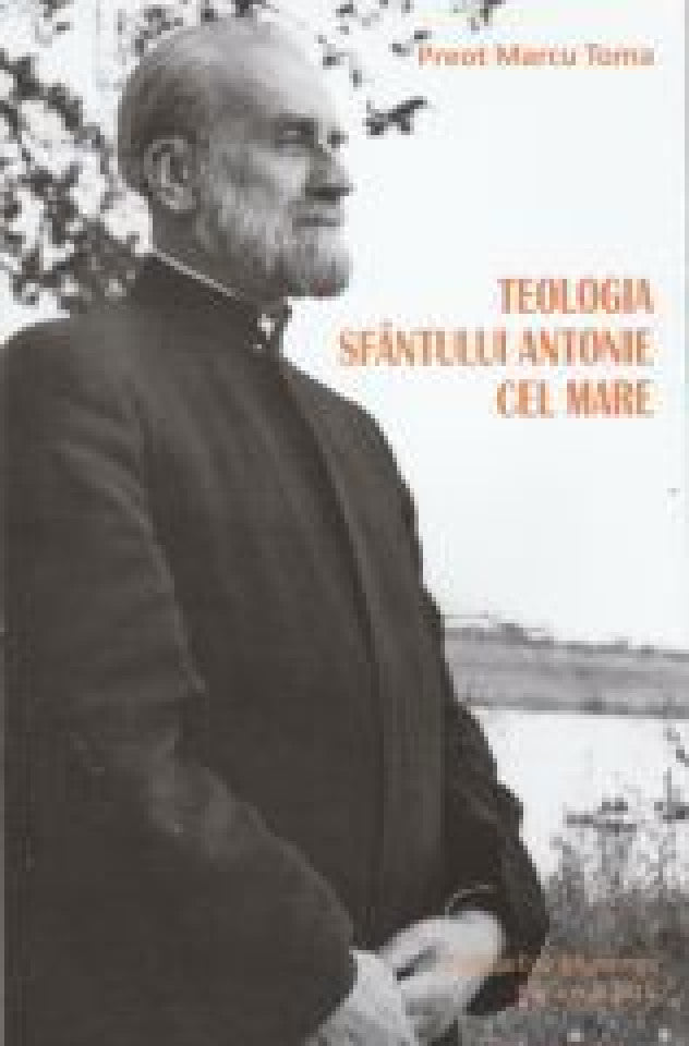 Teologia Sfântului Antonie cel Mare